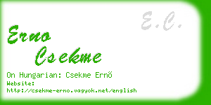 erno csekme business card