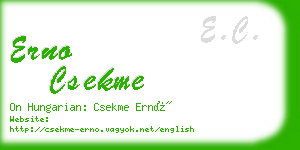 erno csekme business card